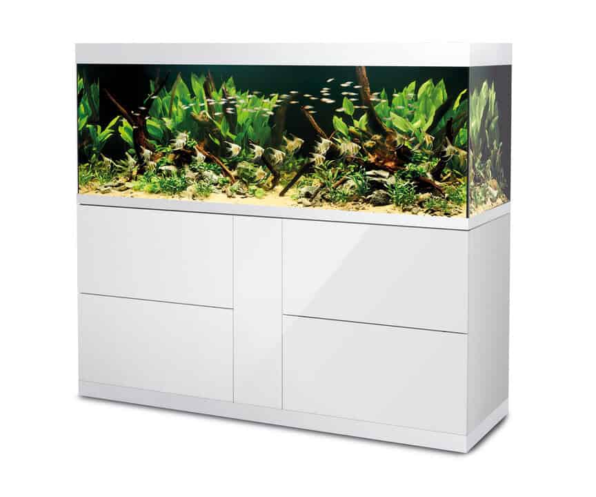 Oase Highline 600